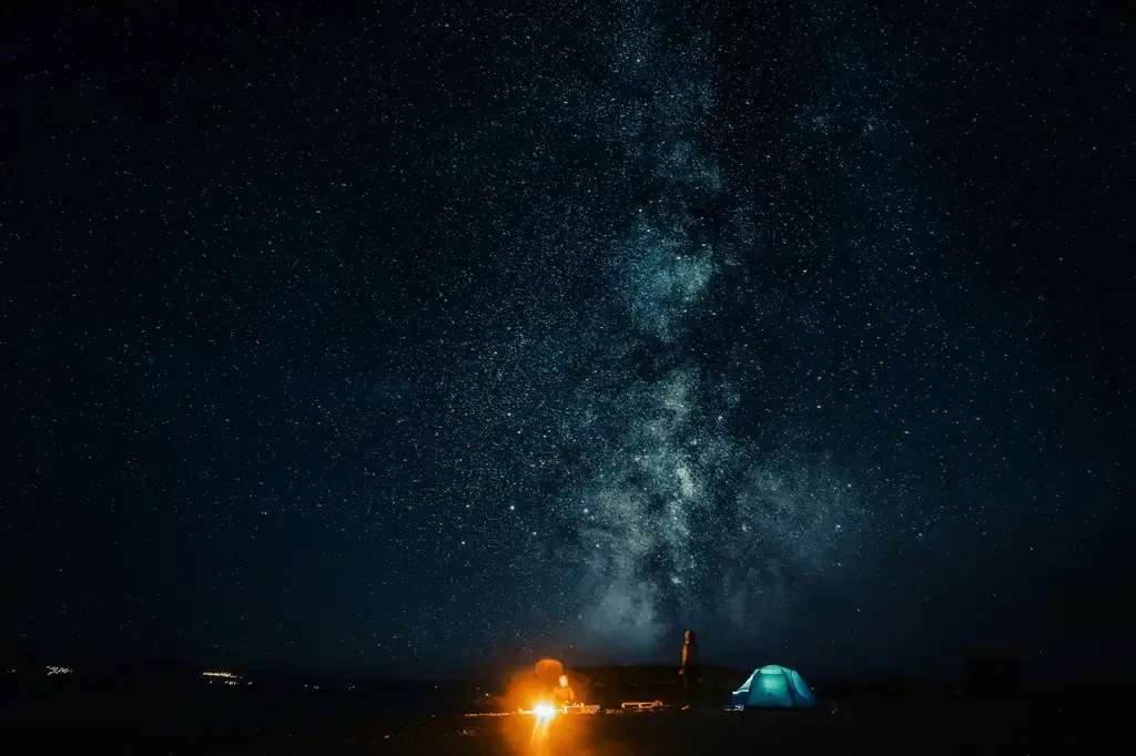 露營車首選：CampingbarPlus深度解析